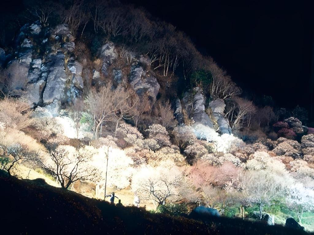 Corredor Yugawara Dog＆Resort Atami  Exterior foto